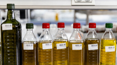 La ciencia nuclear ayuda a detectar alimentos adulterados que no son lo que aparentan