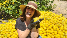 Mujer agricultora premiada por Asaja Alicante: «Poco a poco va creciendo y haces algo bien bonito»