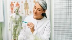 Entendiendo los «meridianos» en la medicina tradicional china