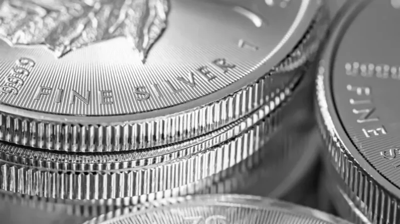 El precio de la plata se ha disparado. Además de las monedas de inversión, también existe la posibilidad de almacenar plata, al igual que otros metales preciosos, en un depósito franco.
Foto: iStock/Sunshine Seeds
