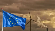 Escándalo en la UE: Bruselas pagó a activistas para presionar instituciones europeas y atacar empresas