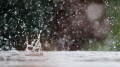 Si el agua tiene memoria, ¿qué es lo que recuerda?