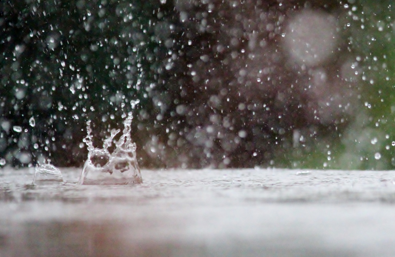 Si el agua tiene memoria, ¿qué es lo que recuerda?