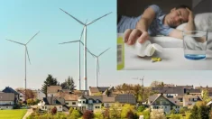 Problemas de salud, caída de precios inmobiliarios y del turismo: tres consecuencias ignoradas de la energía eólica