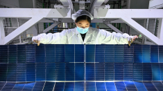 Consejo Europeo de Fabricación Solar urge a restringir a proveedores chinos de la red eléctrica