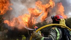Los desoladores incendios en Galicia, Extremadura y Castilla y León continúan descontrolados: «no hemos recibido nada de los recursos solicitados»