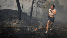 Galicia arde: más de 30 000 hectáreas calcinadas, tres bomberos graves y el AVE paralizado por tercer día