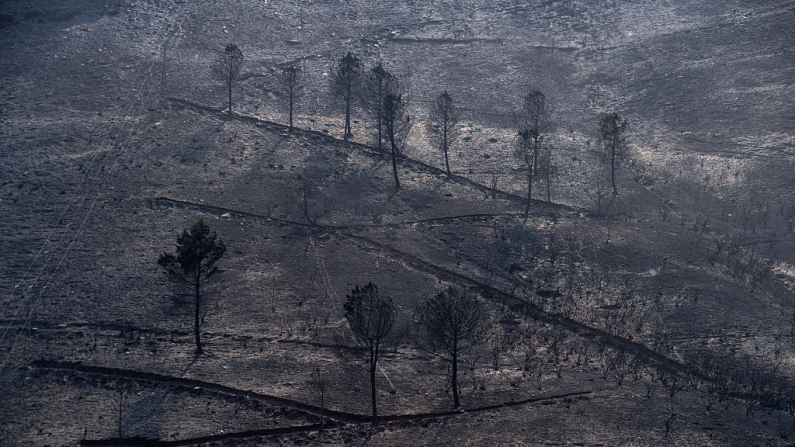 La imagen muestra una zona quemada tras un incendio forestal en el pueblo de San Vicente de Leira, en la provincia de Orense, al noroeste de España, el 19 de agosto de 2025. (Foto de MIGUEL RIOPA / AFP) (Foto de MIGUEL RIOPA/AFP a través de Getty Images)