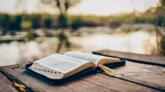 La Biblia y la economía: ¿Qué dice el texto sagrado sobre la libertad económica?