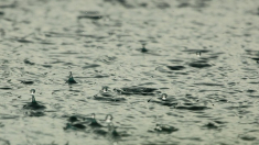 Implacables aguaceros azotan a Valencia: la tormenta podría entrar en zonas afectadas por la DANA