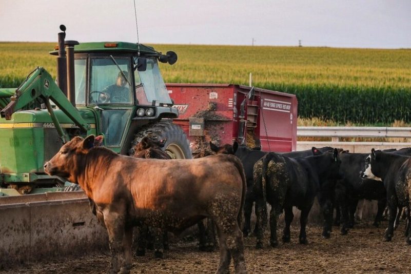 ¿Y si salváramos nuestras explotaciones agrícolas como salvamos nuestros bancos?