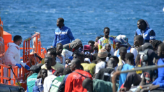 El descenso fantasma de la inmigración ilegal: del triunfalismo gubernamental a la propaganda mediática