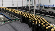 Incertidumbre en el sector del aceite de oliva: ¿A quién beneficia el plan de retirar el excedente?