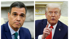 Gobierno de Sánchez reacciona a las afirmaciones de una posible expulsión de España de la OTAN