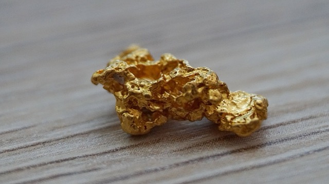 Pepita de oro. Foto de Pixabay.