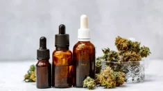 El cannabis aumenta el riesgo de esquizofrenia: un nuevo estudio revela los riesgos de los vaporizadores de alta potencia