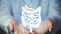 Tu intestino no olvida: cómo los medicamentos cambian permanentemente tu flora intestinal