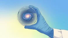 Sin desencanto: los científicos y su anhelo de espiritualidad