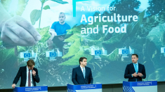 Colapso agrario: España pierde casi el 40 % de sus explotaciones y Europa prepara una marcha histórica