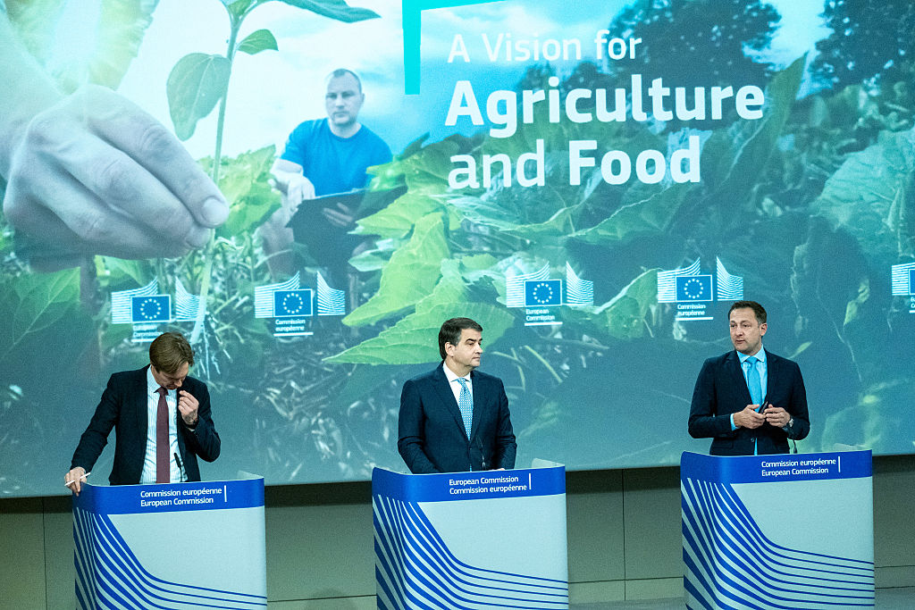 Colapso agrario: España pierde casi el 40 % de sus explotaciones y Europa prepara una marcha histórica