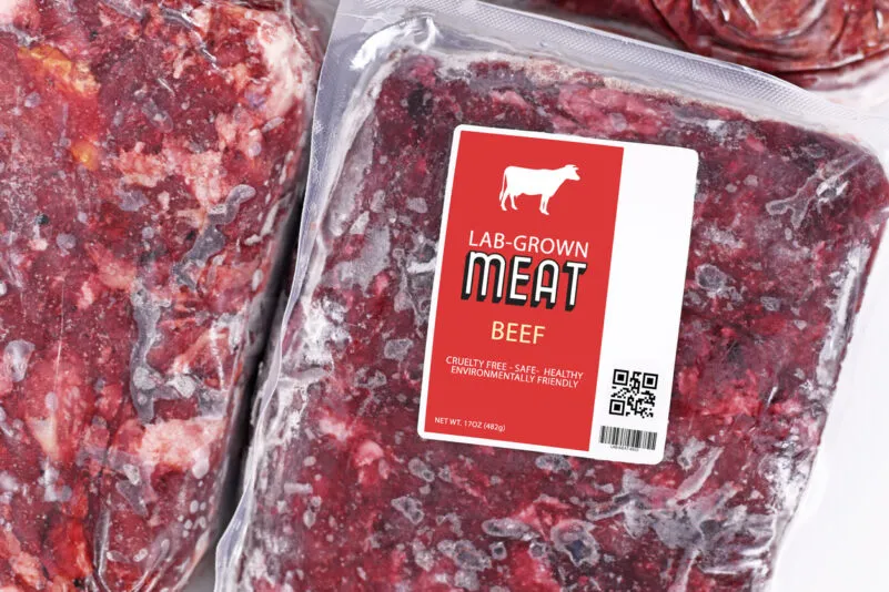 El Parlamento húngaro prohíbe la carne cultivada en laboratorio y apela a la defensa de los agricultores y la cultura alimentaria