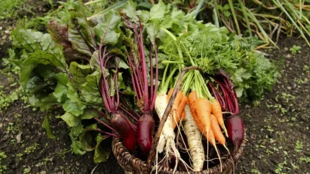 La ilusión de la seguridad: cómo la burocracia destruye nuestra salud y libertad