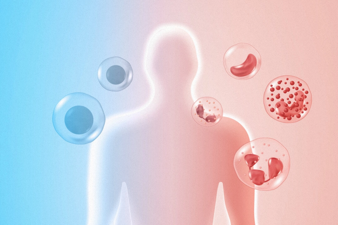 Un descubrimiento reconocido con el Premio Nobel podría transformar el tratamiento de las enfermedades autoinmunes y del cáncer