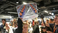 A la sombra de las muñecas sexuales: la expansión de Shein en Europa despierta una ola de rechazo