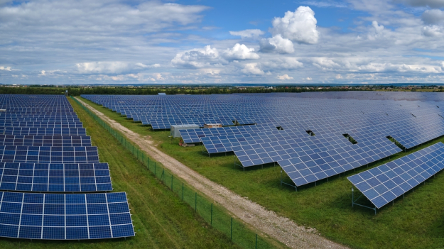 Jaen: suspenden provisionalmente las licencias de obra de los megaproyectos fotovoltaicos previstos en olivares