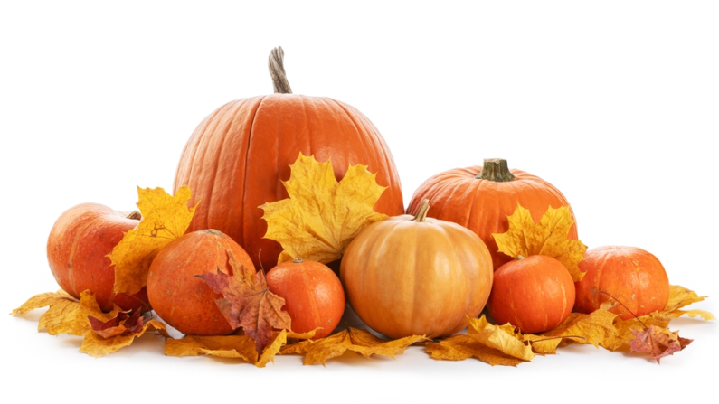 Imagen ilustrativa. Foto: Shutterstock.