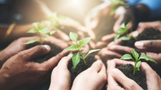 «No hay crisis climática»: la Asociación de Realistas Climáticos muestra en Madrid pruebas que desmienten el alarmismo