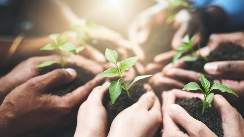 Imagen ilustrativa. (PeopleImages/Shutterstock)