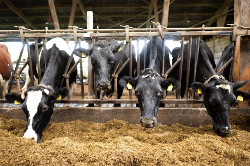 La UE reduce la burocracia para los agricultores: menos papeleo y controles