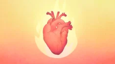 El corazón es el órgano rey que rige la alegría: cómo nutrirlo